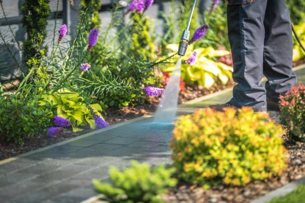 Reliable Fayette, IA Pressure Washing Services Solutions