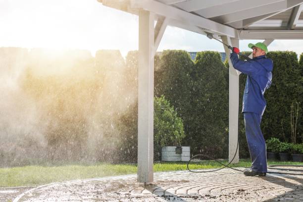 Best Sidewalk and Walkway Cleaning  in Fayette, IA