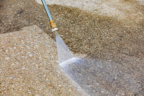 Best Pre-Holiday Cleaning  in Fayette, IA